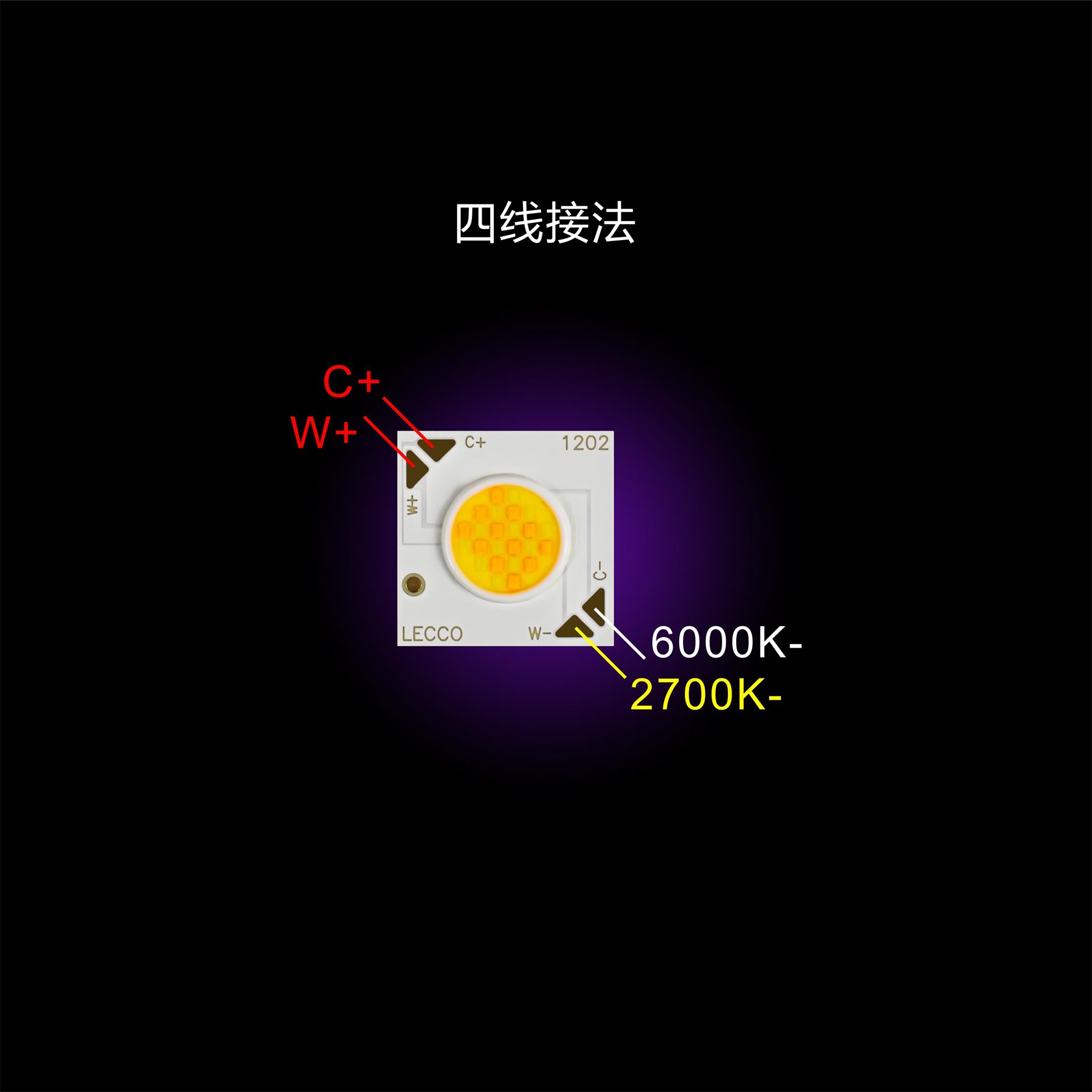 澳门十大电子游戏入口网站